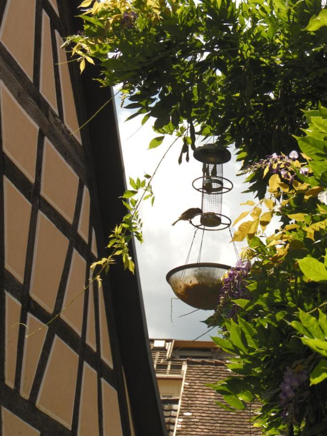 Ferienwohnung Amtorli Endingen am Kaiserstuhl Exterior foto