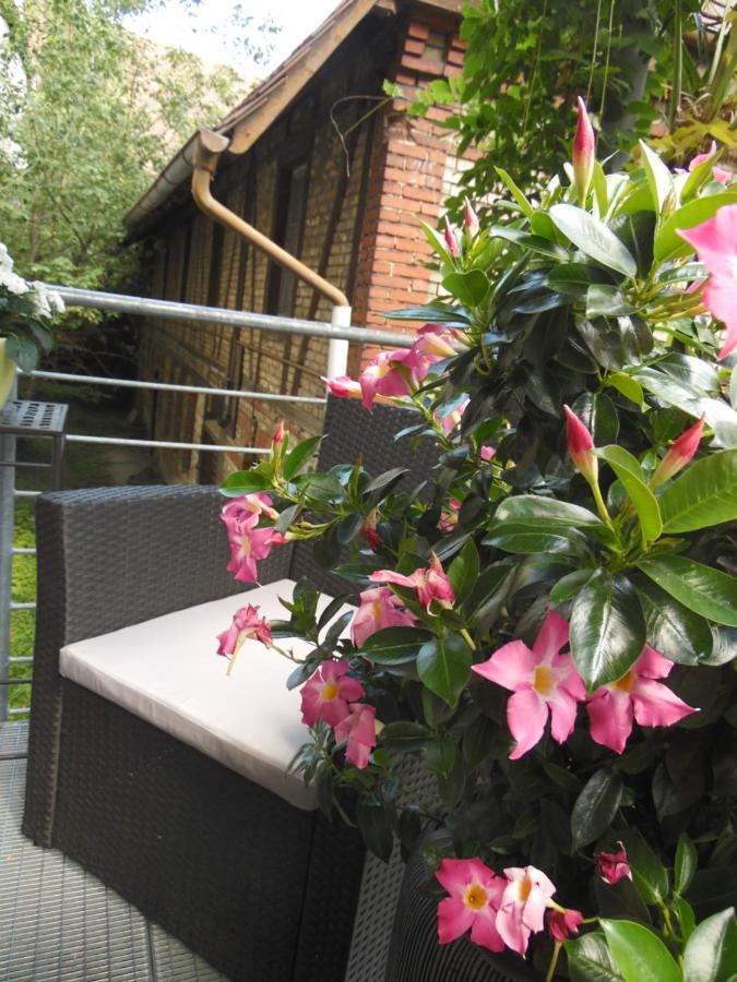 Ferienwohnung Amtorli Endingen am Kaiserstuhl Exterior foto