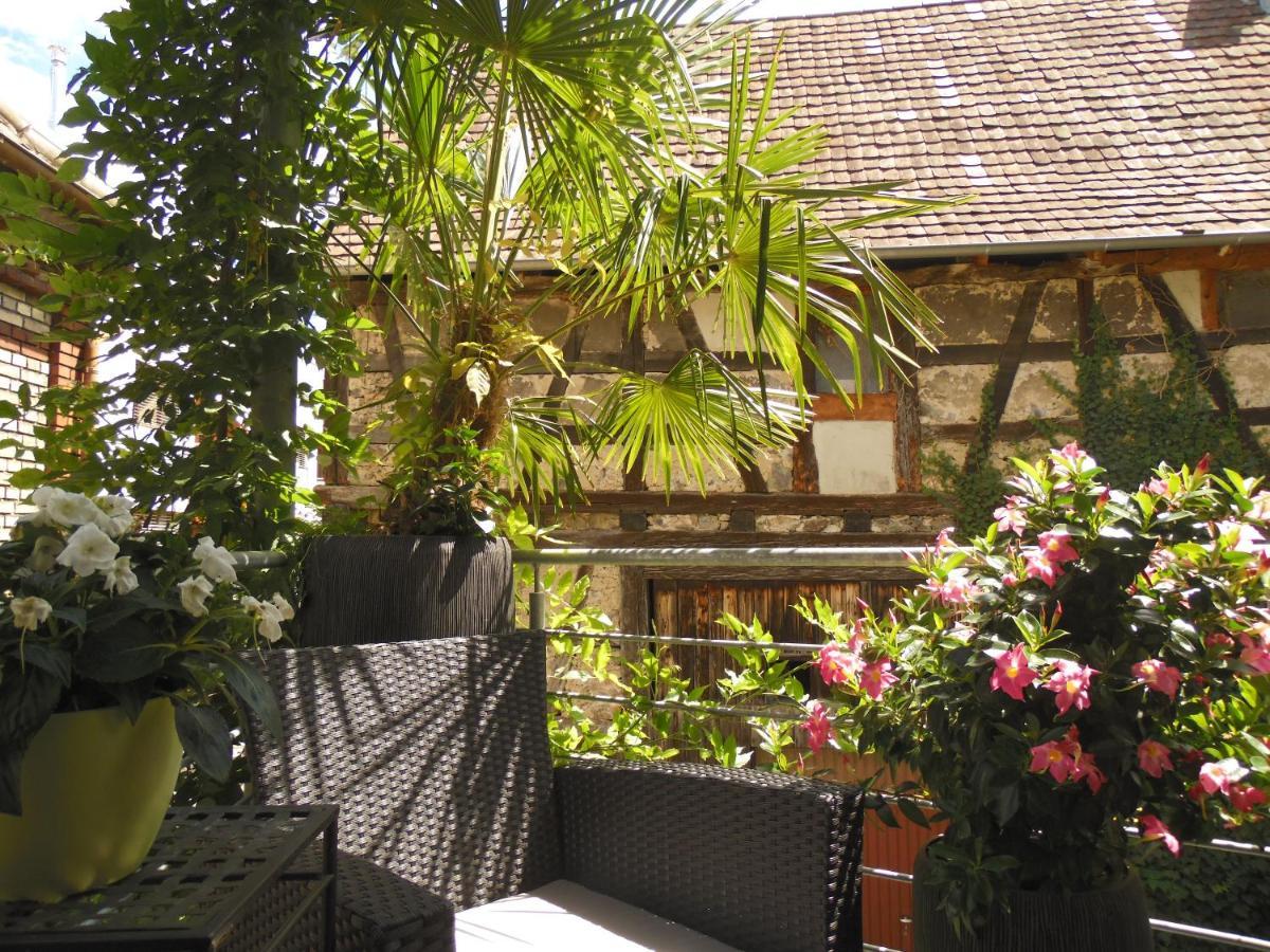 Ferienwohnung Amtorli Endingen am Kaiserstuhl Exterior foto